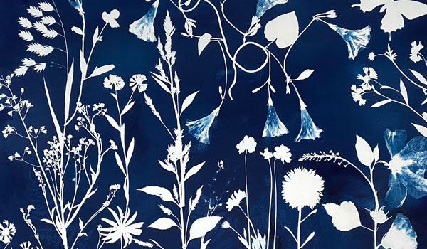 cyanotype of flowers