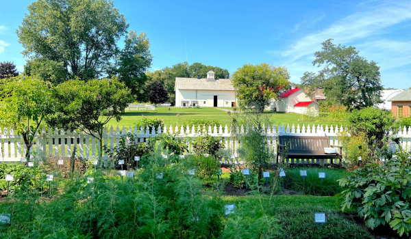 garden